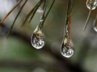 two drops of water