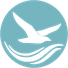 Ceeblue