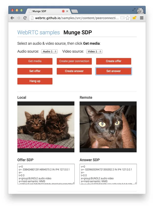 WebRTC SDP sample