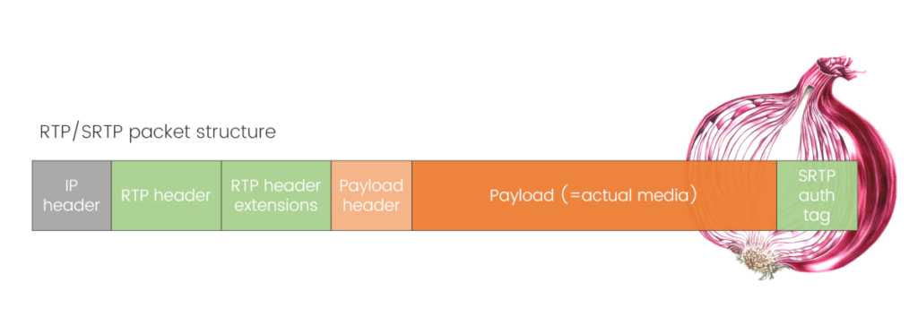 RTP packet structure showing the RTP header with contributing sources and header extensions, the payload header, and the payload