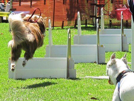 Hurdles