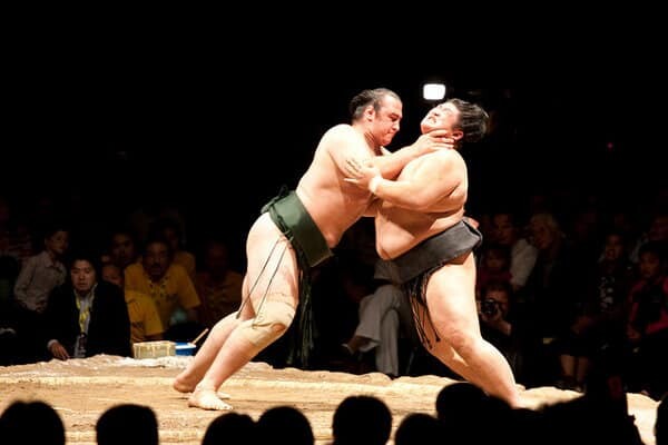 sumo fight