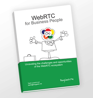 WebRTC for Business People