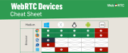 WebRTC Architecture Course