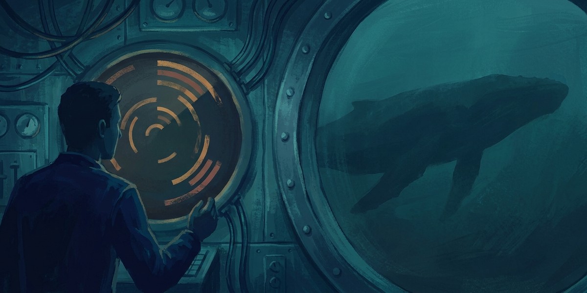 Why RTCP reports from the server are not enough - whale missed by sonar